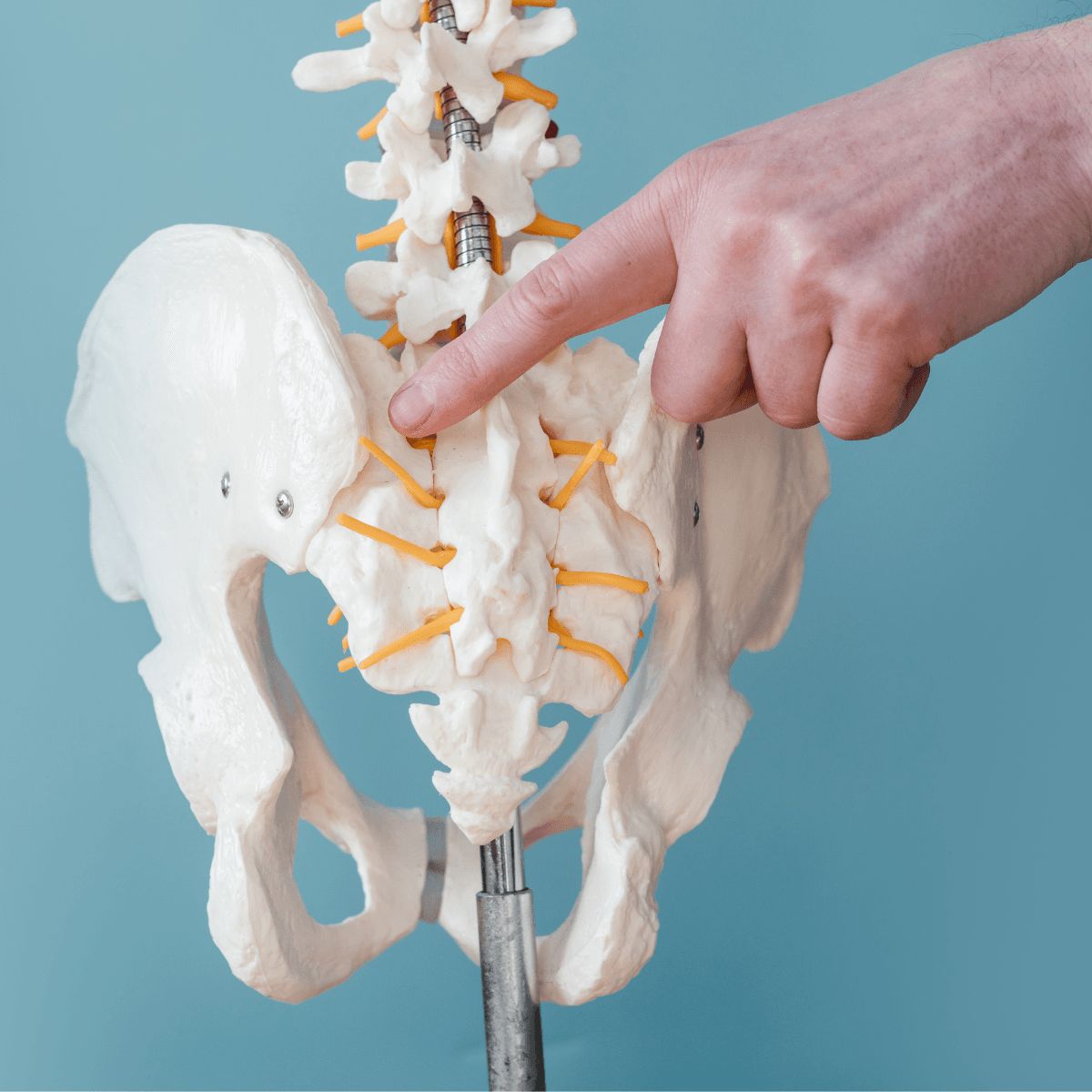 Sacroiliac Joint Pain 2 Unlock Relief: Sacroiliac Joint Solutions