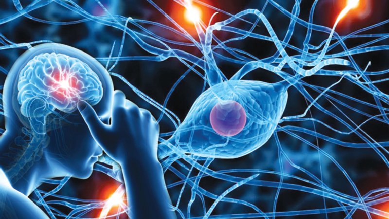 Neurological Diagnostics 3 Neurological Diagnostics for Accurate Assessment
